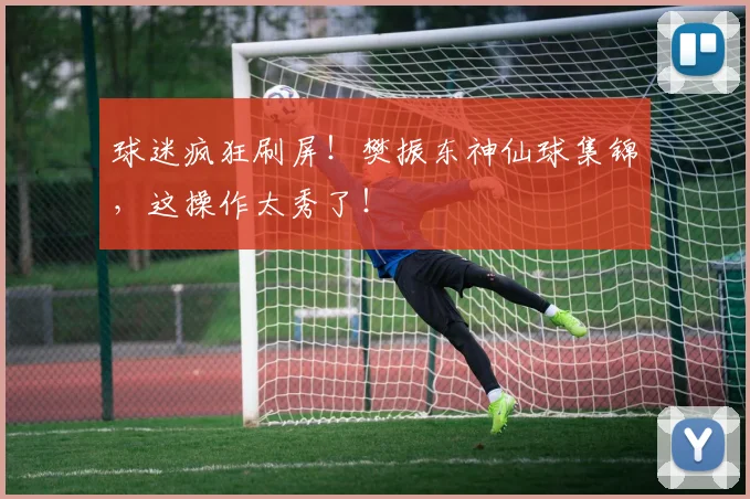 球迷疯狂刷屏！樊振东神仙球集锦，这操作太秀了！