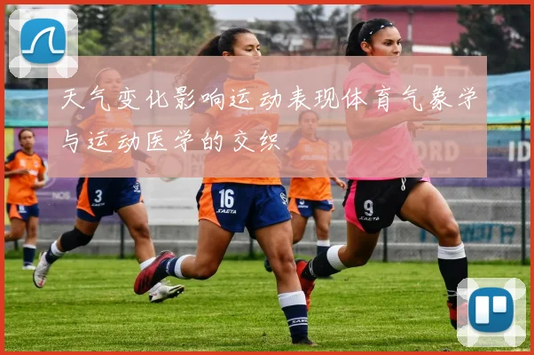 天气变化影响运动表现体育气象学与运动医学的交织