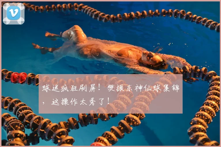 球迷疯狂刷屏!樊振东神仙球集锦,这操作太秀了!