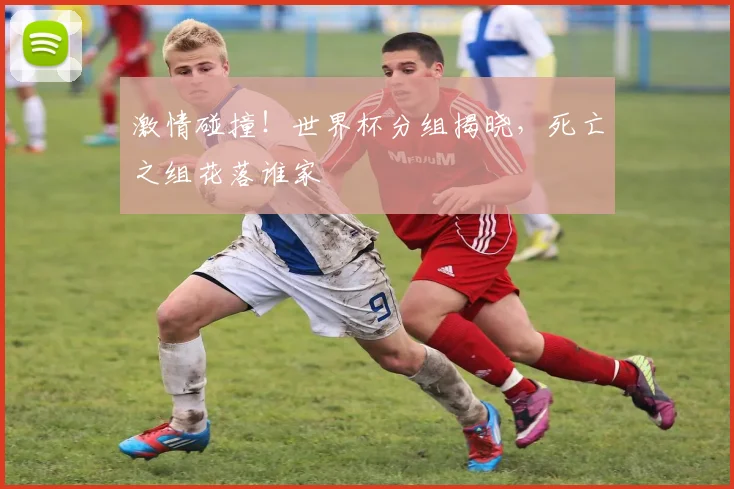 激情碰撞!世界杯分组揭晓,死亡之组花落谁家