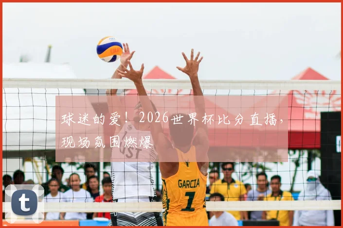 球迷的爱!2026世界杯比分直播,现场氛围燃爆